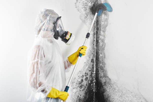 Best Mold Documentation for Insurance Claims  in Leoti, KS