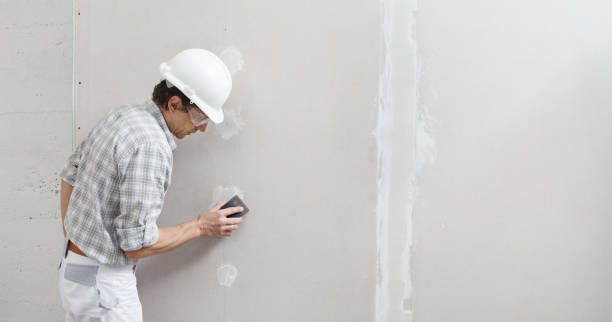 Best Forensic Mold Investigation  in Leoti, KS
