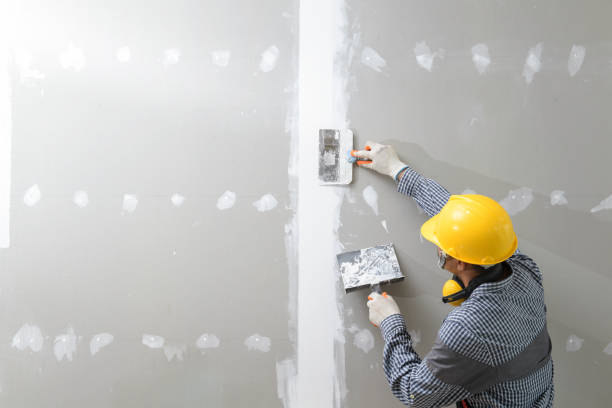 Forensic Mold Investigation in Leoti, KS