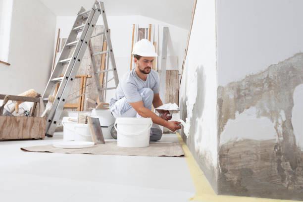 Best Attic Mold Removal  in Leoti, KS