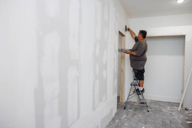 Best Emergency Mold Remediation  in Leoti, KS