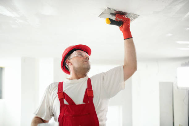 Best Mold Damage Restoration  in Leoti, KS