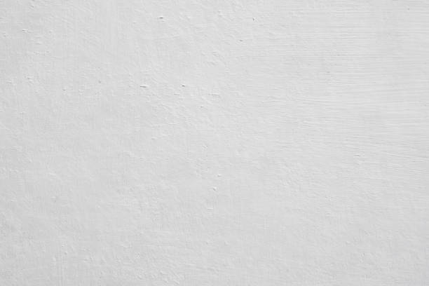 Best Basement Mold Removal  in Leoti, KS