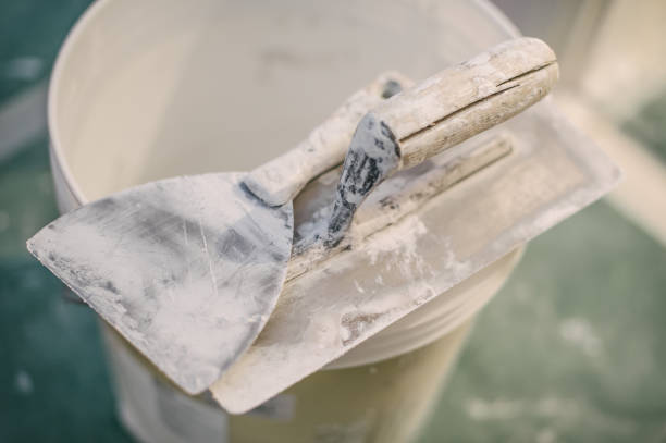Best Mold Prevention Services  in Leoti, KS